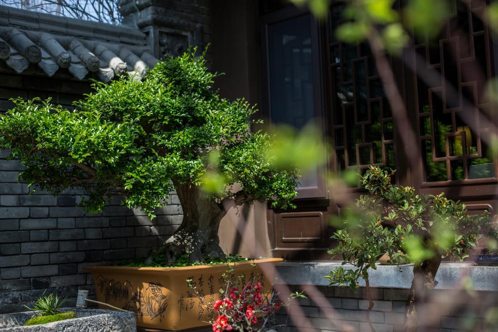 Xi'An Impression Nanhu Lake Homestay Ngoại thất bức ảnh